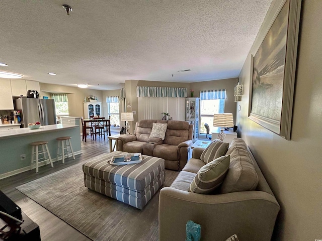 living room with a textured ceiling, hardwood / wood-style flooring, and plenty of natural light