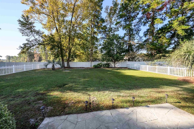 view of yard featuring a patio area