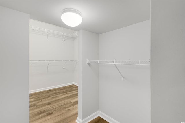 spacious closet with hardwood / wood-style floors