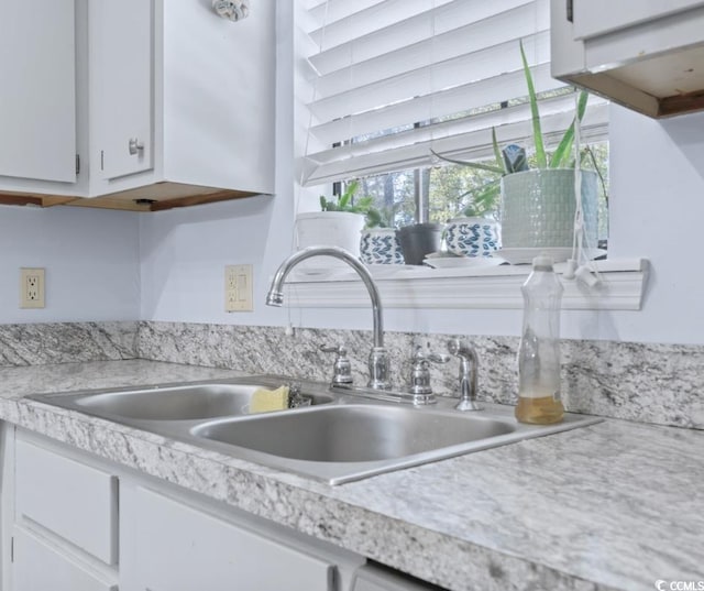 details with white cabinetry and sink