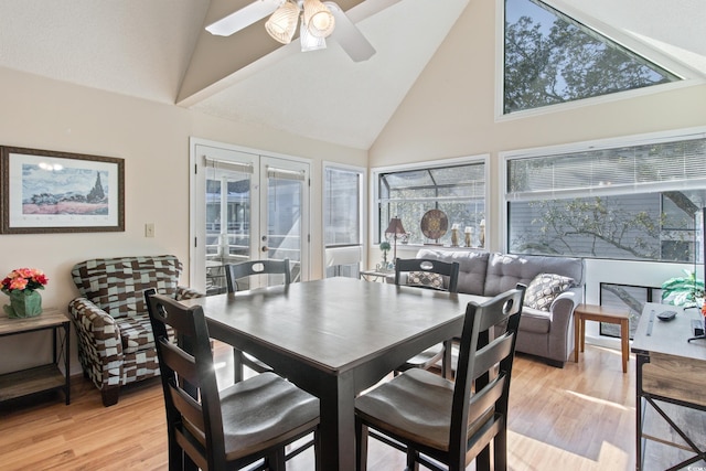 dining room featuring ceiling fan, a healthy amount of sunlight, and light hardwood / wood-style floors