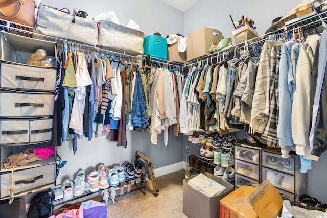 spacious closet with carpet