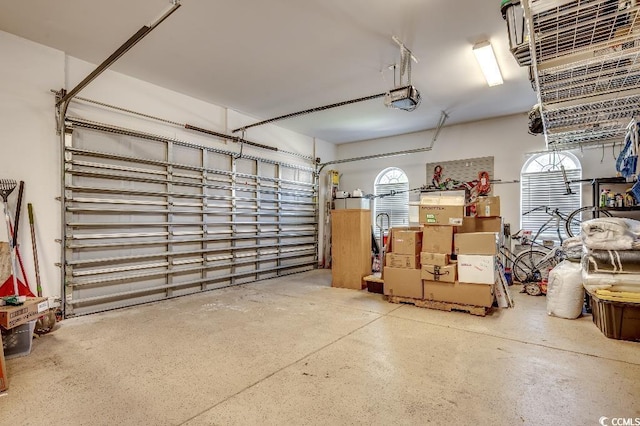 garage with a garage door opener