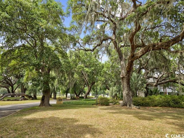 surrounding community with a lawn