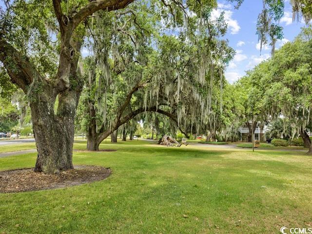 view of community featuring a lawn