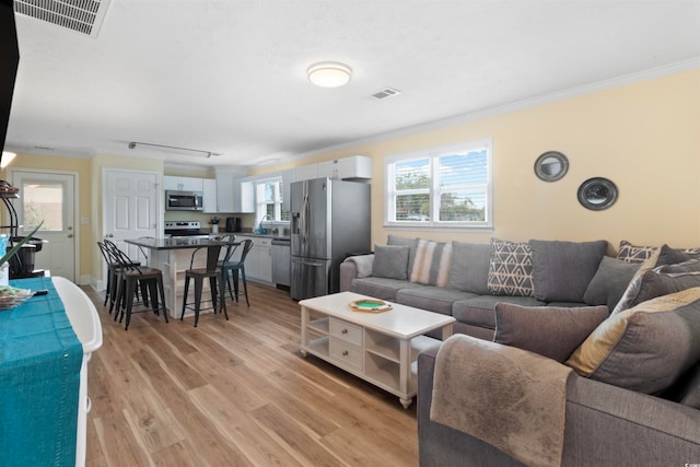 living room with light wood-type flooring and crown molding