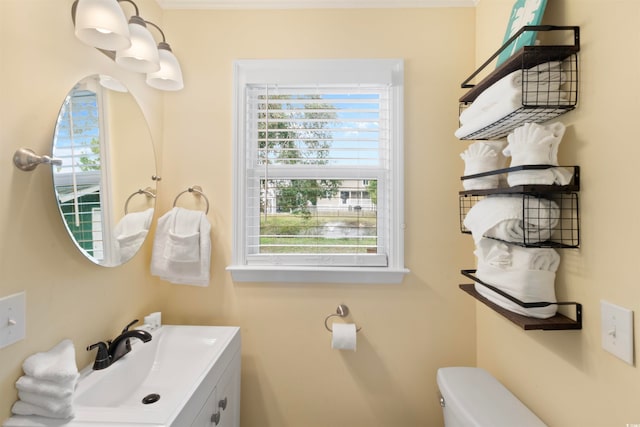 bathroom with toilet and vanity