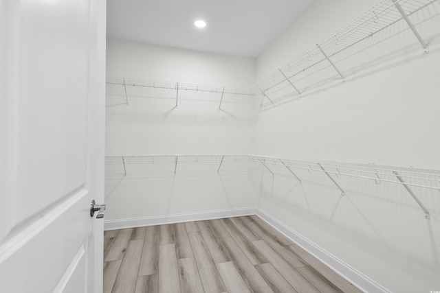 spacious closet with light hardwood / wood-style flooring