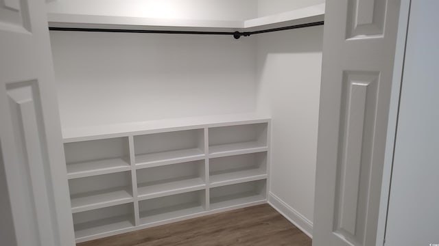 walk in closet featuring wood finished floors