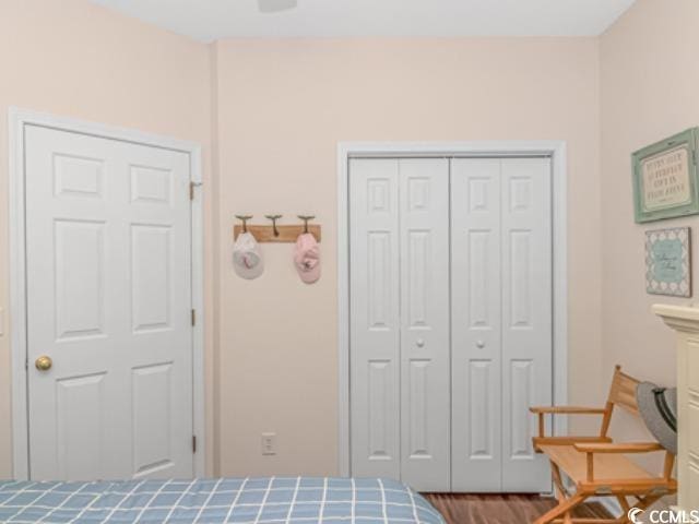 bedroom featuring a closet