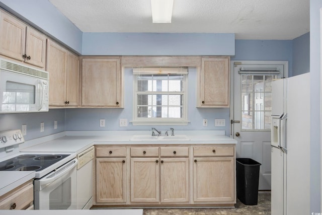 kitchen featuring sink, light brown cabinetry, and white appliances