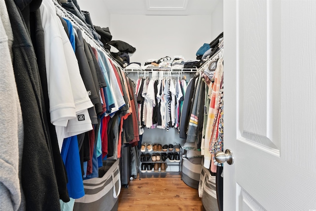 spacious closet with wood-type flooring