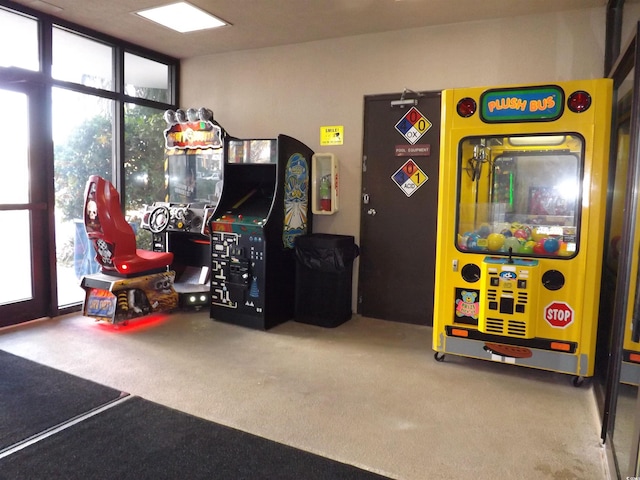 recreation room with plenty of natural light and carpet flooring