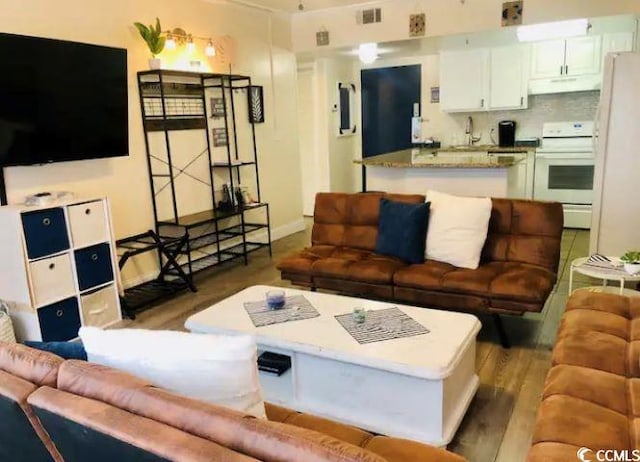 living room featuring wood-type flooring and sink