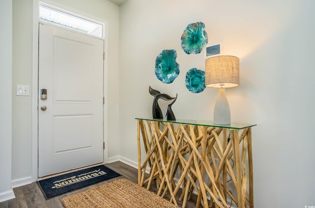 foyer featuring dark wood-type flooring