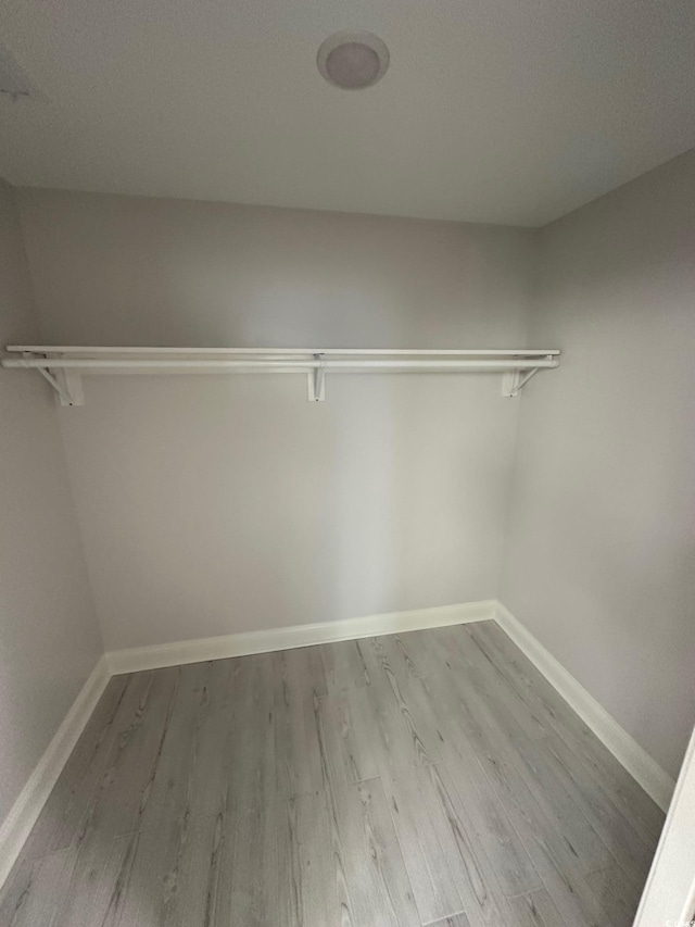 walk in closet featuring light hardwood / wood-style floors