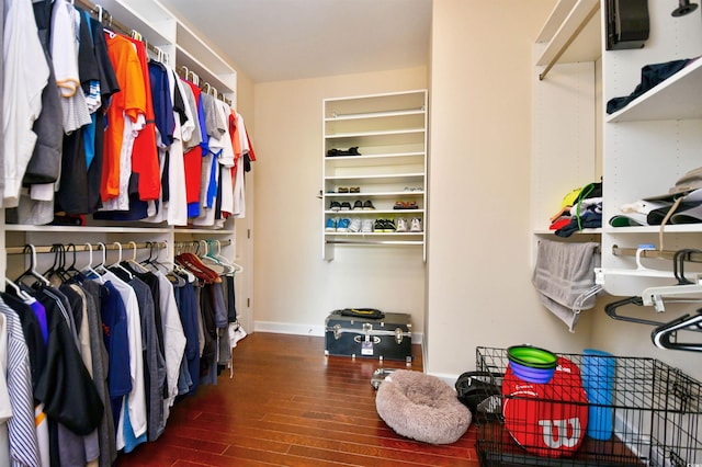 spacious closet featuring dark wood-type flooring