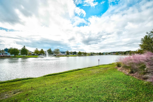 property view of water