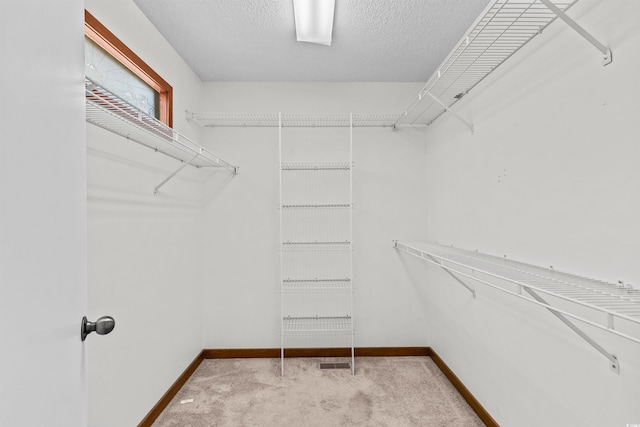 walk in closet with light colored carpet