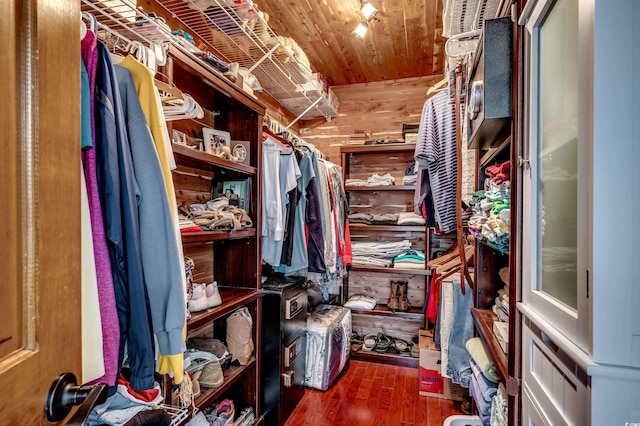 spacious closet featuring dark wood-type flooring