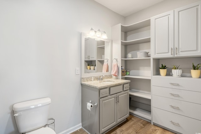 bathroom featuring vanity, hardwood / wood-style flooring, and toilet