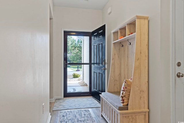 mudroom with hardwood / wood-style floors