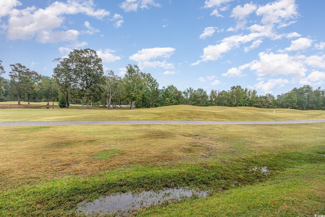 view of community with a lawn