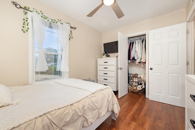 bedroom featuring dark wood-type flooring, a closet, and ceiling fan