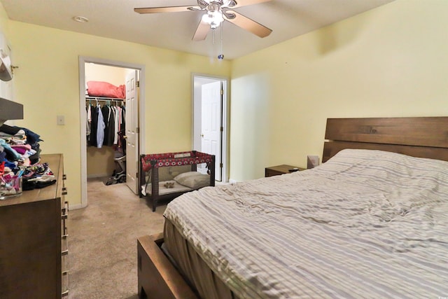 carpeted bedroom featuring ceiling fan, a walk in closet, and a closet