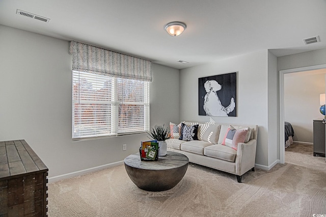 living room featuring light colored carpet