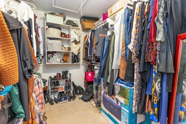 spacious closet featuring carpet