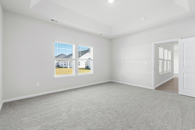 spare room with a tray ceiling and carpet