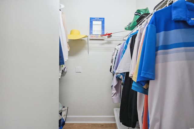 walk in closet with wood-type flooring