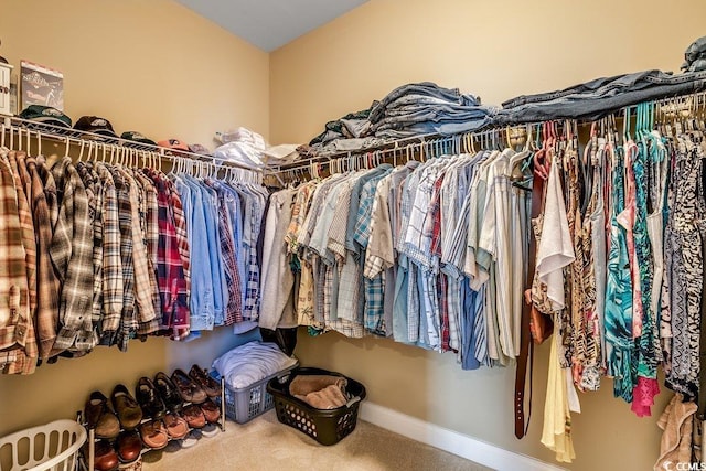 walk in closet with carpet flooring