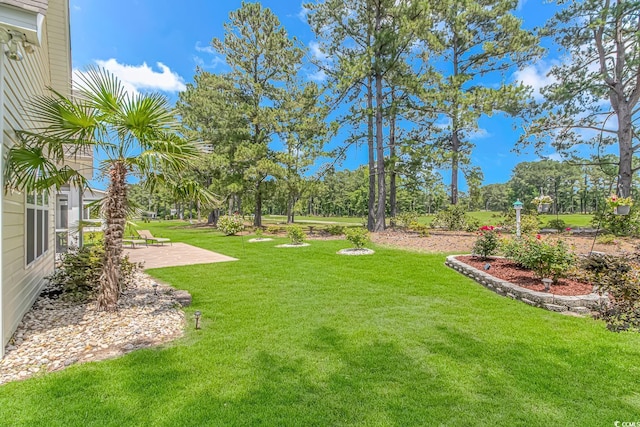 view of yard with a patio area