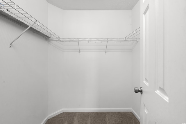 walk in closet with carpet