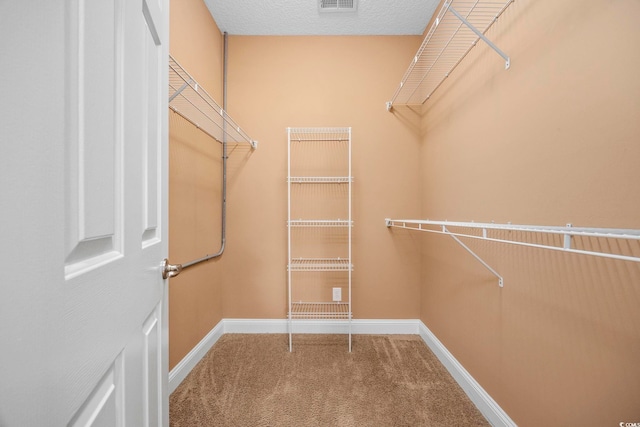 walk in closet featuring carpet