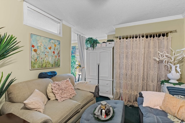 living room featuring crown molding and a textured ceiling