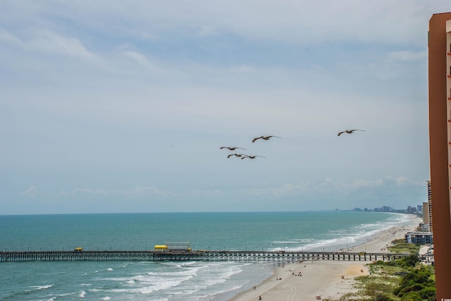 property view of water featuring a beach view