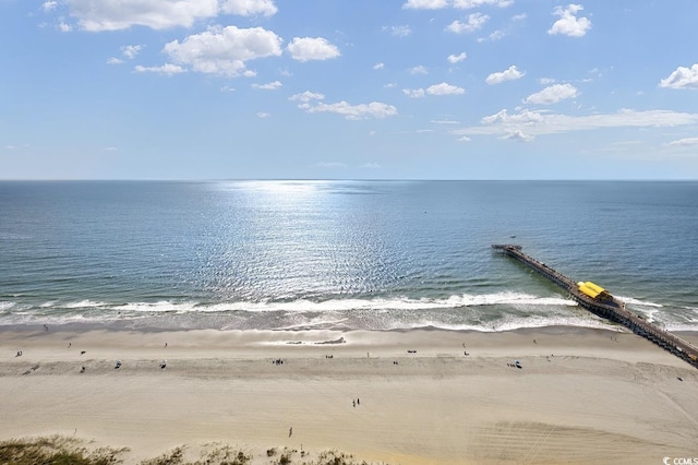 water view featuring a beach view