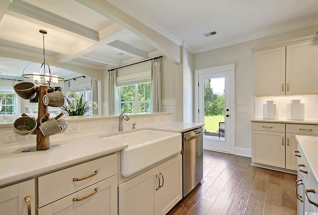 kitchen with dishwasher, dark hardwood / wood-style flooring, and a healthy amount of sunlight