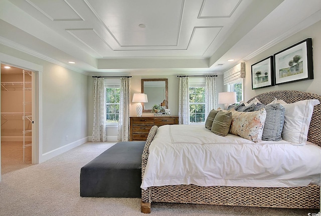 carpeted bedroom with a closet, a tray ceiling, a spacious closet, and multiple windows