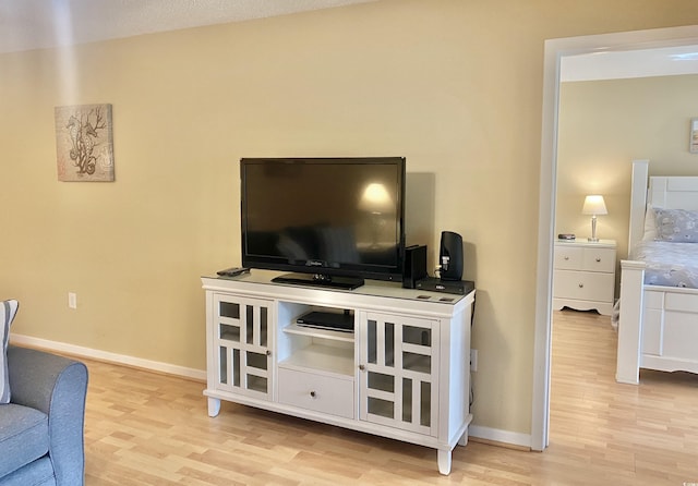 living room featuring light hardwood / wood-style floors