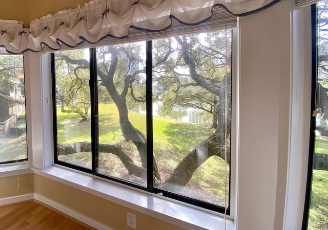 room details featuring hardwood / wood-style flooring