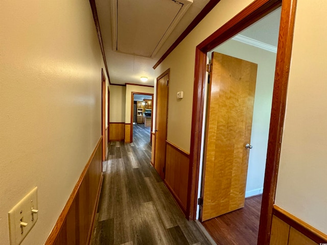 hall featuring crown molding and dark hardwood / wood-style flooring