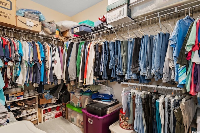 view of walk in closet