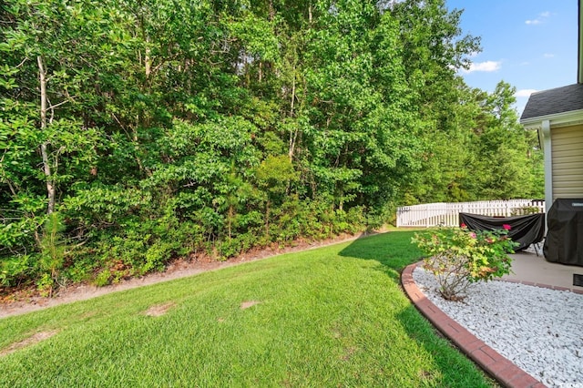 view of yard featuring a patio