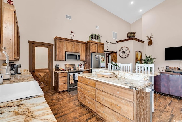 kitchen with high vaulted ceiling, dark hardwood / wood-style floors, stainless steel appliances, and a kitchen island