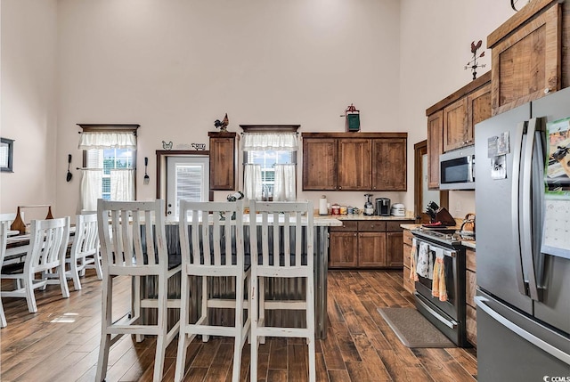 kitchen featuring dark hardwood / wood-style flooring, a towering ceiling, and stainless steel appliances