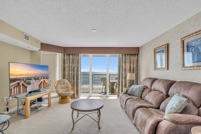 carpeted living room with a textured ceiling